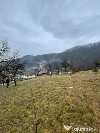Casă cu 2 camere cu Teren 6000 Mp în Tăuții-Măgherăuș