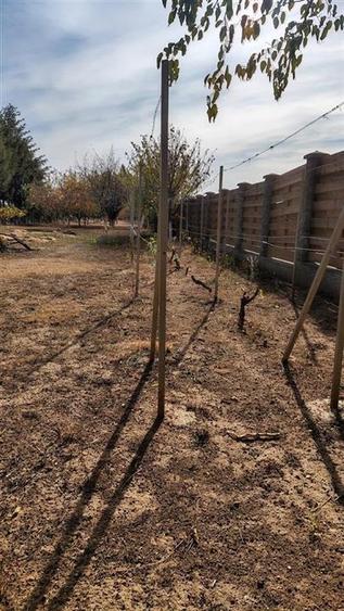 Teren intravilan de 2052 mp, în Sântandrei