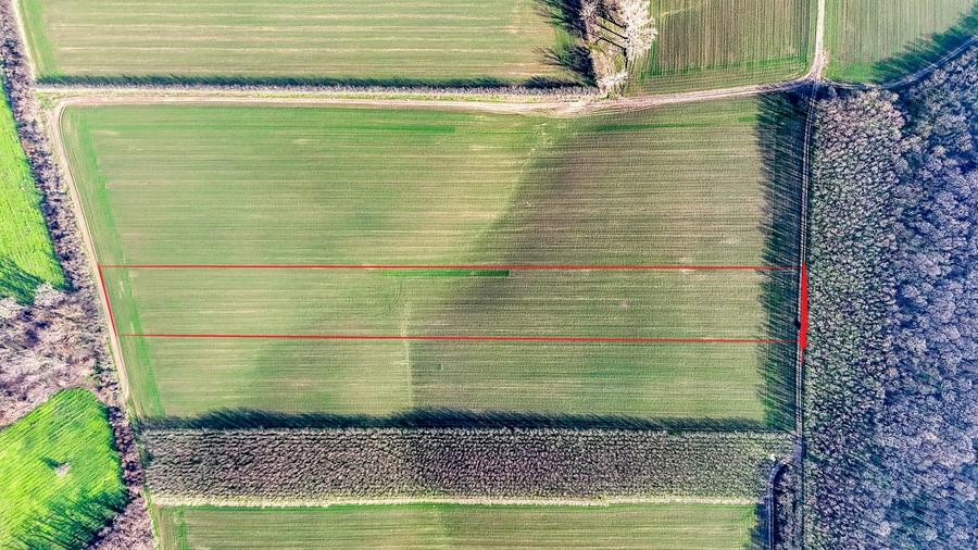 Teren agricol extravilan de 16900 mp, în Sitaru
