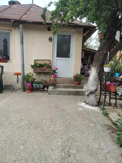 Casă cu 3 camere cu Teren 1800 Mp în Central