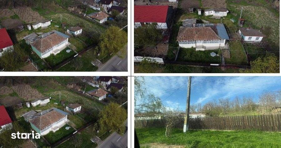Casă cu 3 camere cu Teren 3633 Mp în Delești