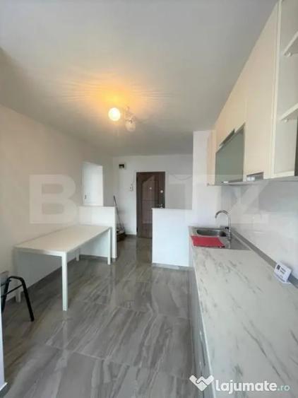 Apartament 2 camere decomandat, zona strazii Rapsodiei - 11