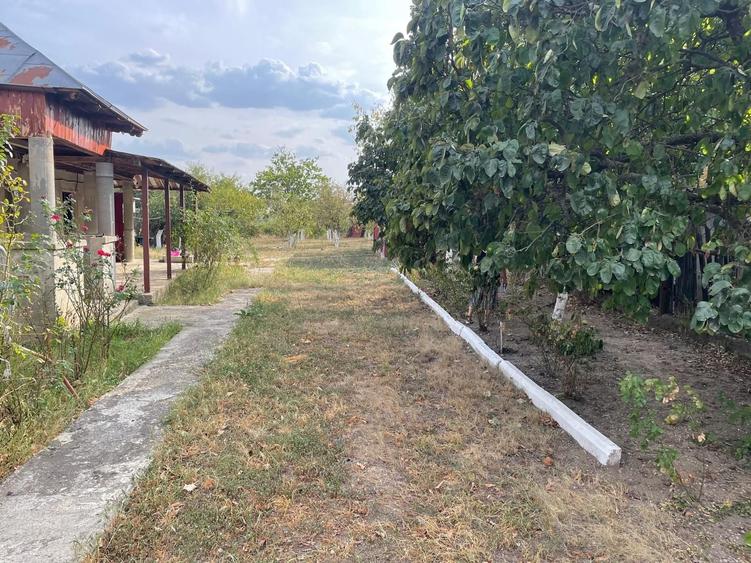 Casă cu 3 camere cu Teren 2100 Mp în Teișori