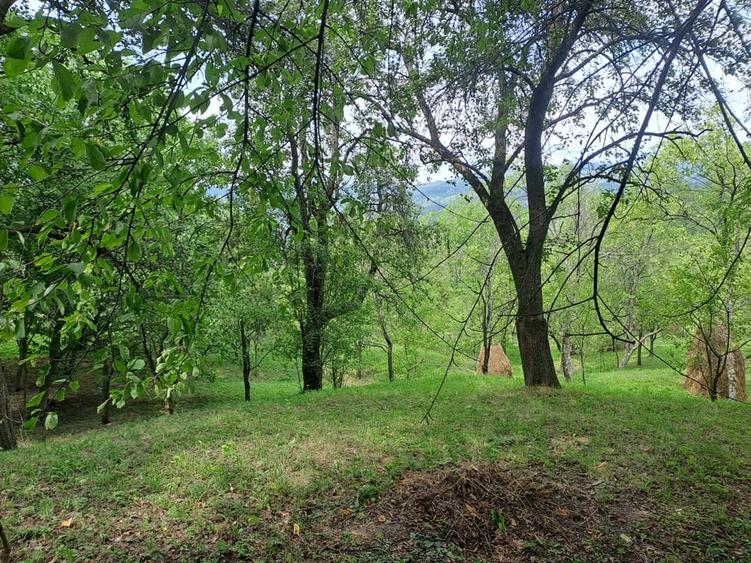 Teren în Șotrile