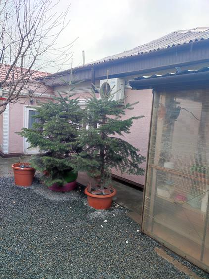 Casă cu 2 camere cu Teren 200 Mp în Palas