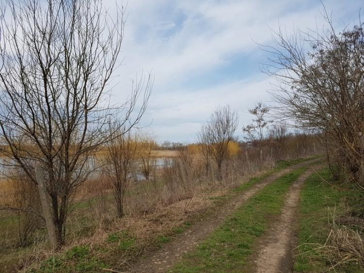 Teren Construcții intravilan de 1000 mp, în Sărulești