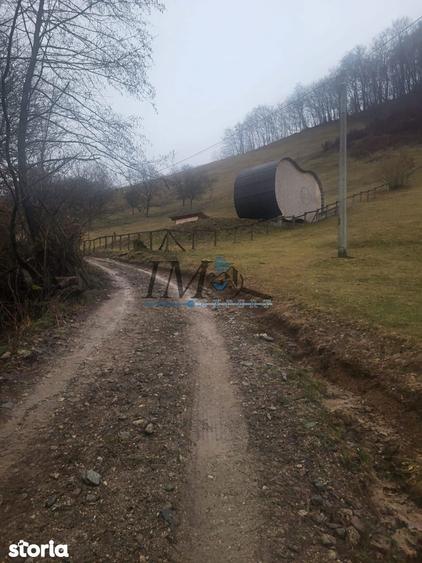Teren de 1203 mp, în Pianu