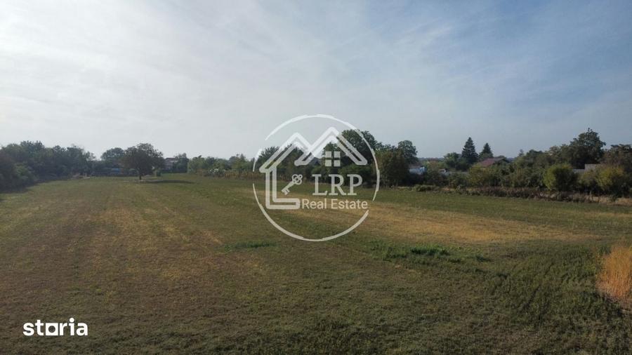 Teren de 7182 mp, în Dascălu