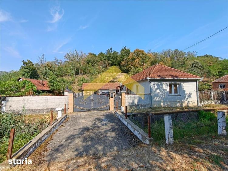 Casă cu 3 camere cu Teren 2504 Mp în Săvârșin