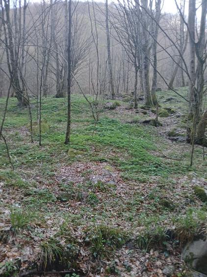 Teren de 1650 mp, în Central