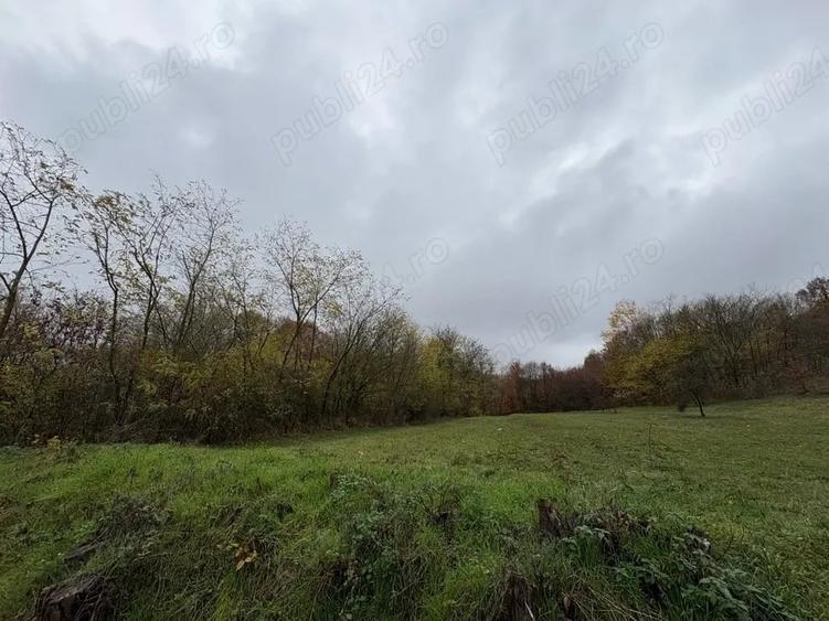 Teren de 2941 mp, în Budești