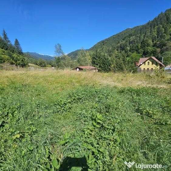 Teren de 852 mp, în Sătic