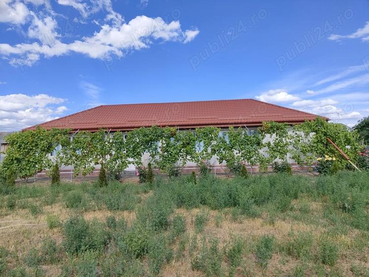 Casă cu 3 camere cu Teren 3500 Mp în Central