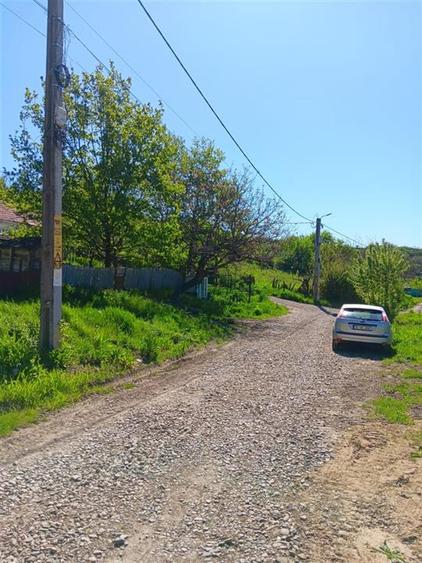 Teren Construcții intravilan de 7009 mp, în Ciurbești