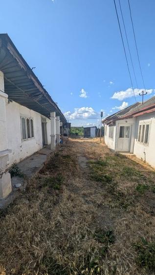 Casă cu 2 camere în Central
