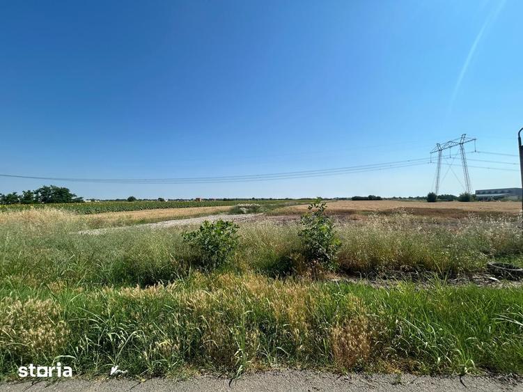 Teren de 11000 mp, în Frumușani
