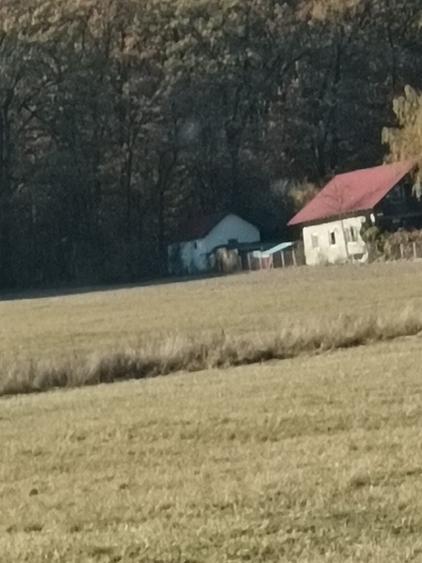 Teren agricol extravilan de 4000 mp, în Dragomirna