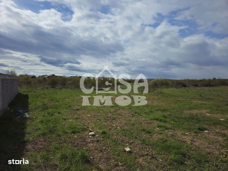 Teren de 3100 mp, în Priseaca