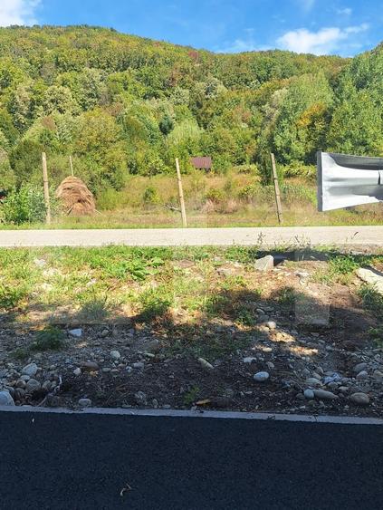 Teren Construcții extravilan de 4847 mp, în Nădrag