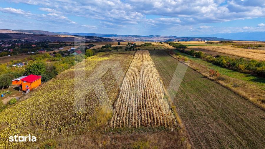 Teren de 5000 mp, în Câineni
