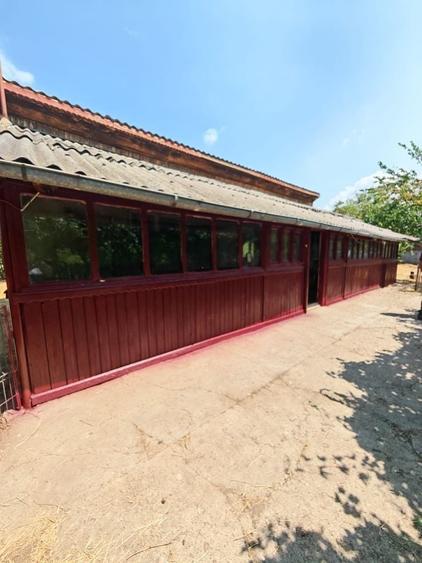Casă cu 2 camere în Brăgăreasa