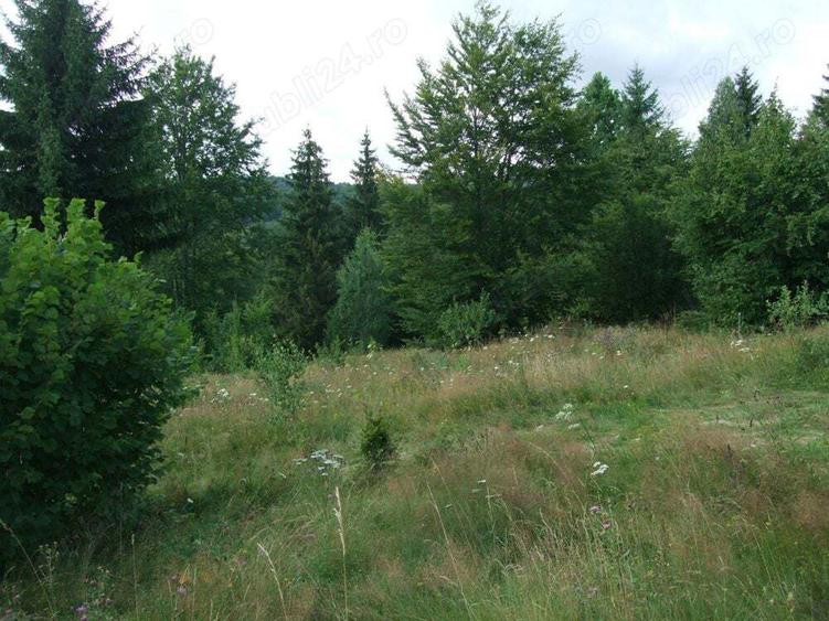 Teren de 34500 mp, în Băile Chirui