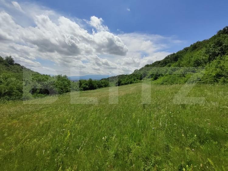 Teren agricol extravilan de 28500 mp, în Gușterița