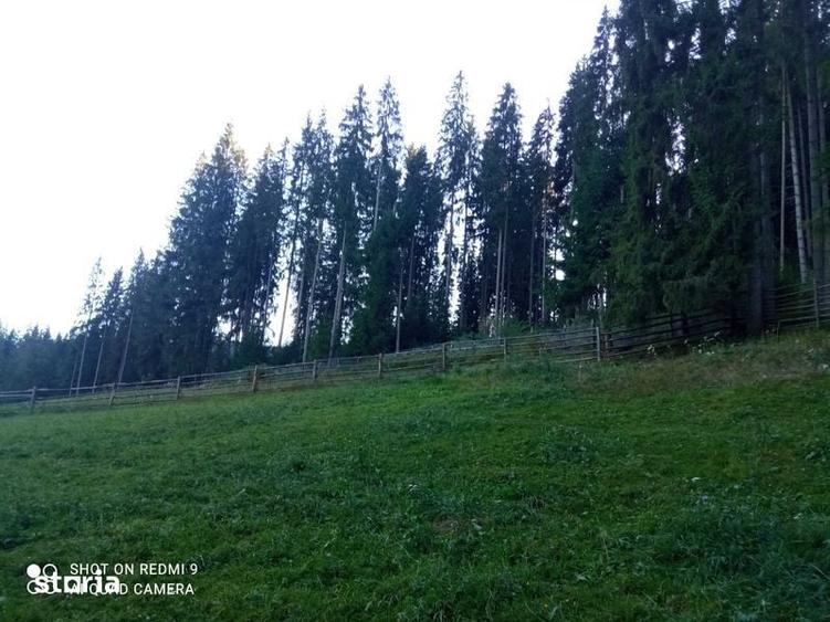 De Vanzare teren in Carlibaba, judetul Suceava - 2