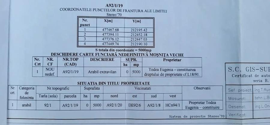 Teren de 10000 mp, în Moșnița Veche