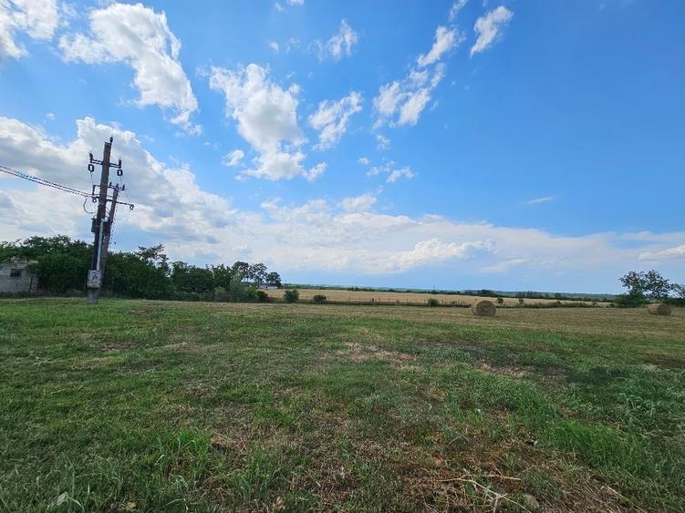 Teren Construcții intravilan de 6200 mp, în Poienarii Burchii
