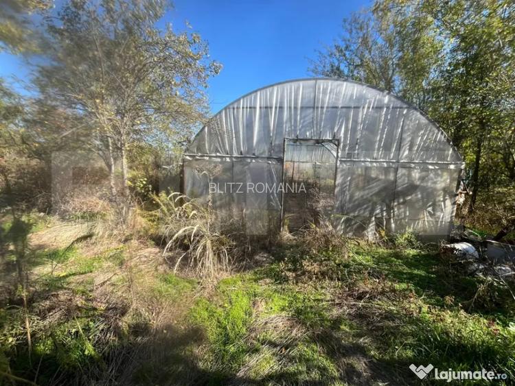 Casa tradi?ionala cu teren 4.500 mp ?i anexe gospodare? - Bolovani (Dambovita)