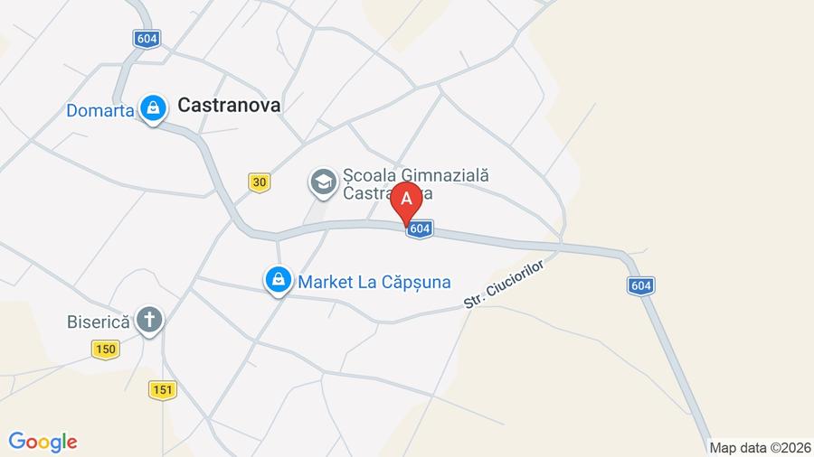 Casă individuală cu 5 camere cu Teren 4364 Mp în Castranova