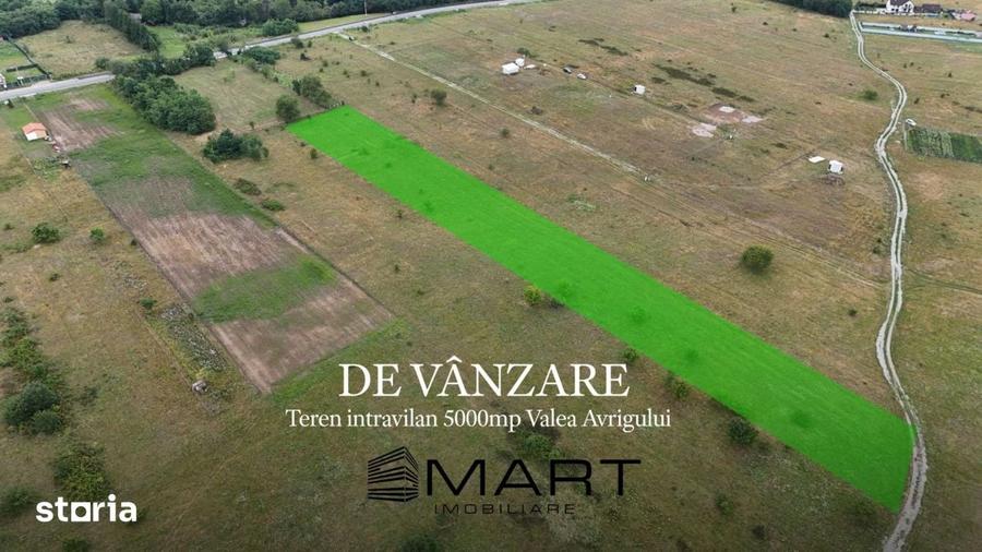 Teren de 5000 mp, în Central