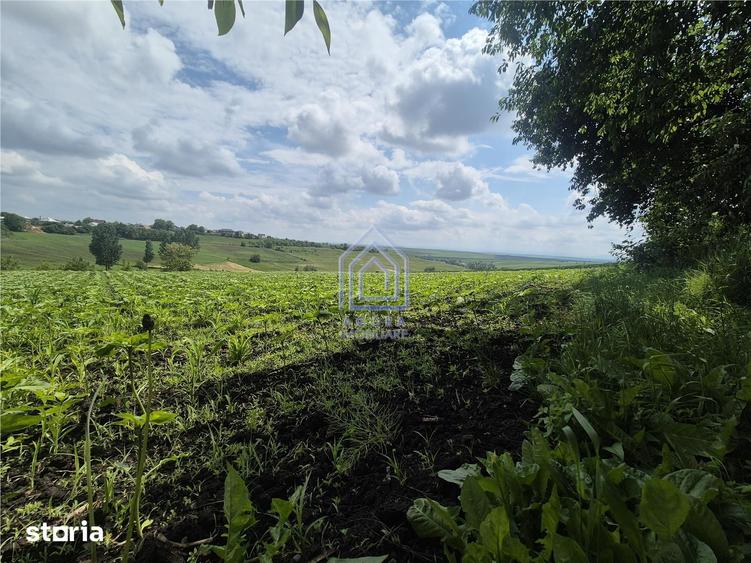 Teren intravilan Moara Nica - zona Scolii - 10
