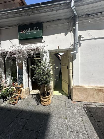Inchiriez Spatiu comercial ultracentral acces vad pietonal la curte - 3