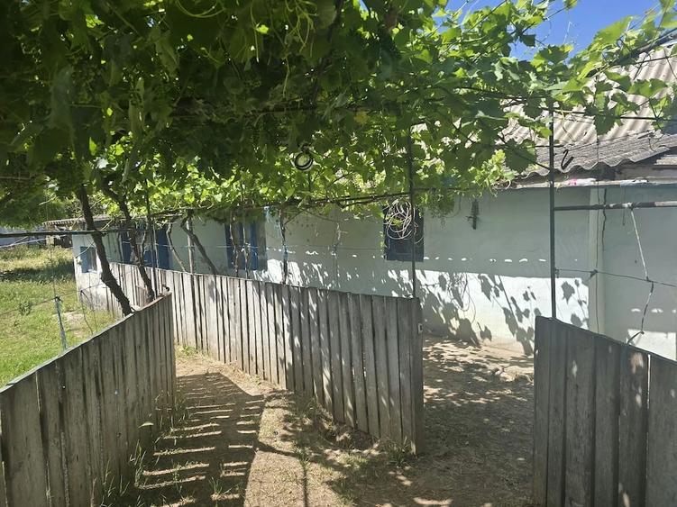 Casă cu 5 camere cu Teren 3900 Mp în Dăeni
