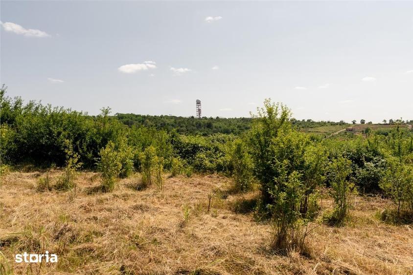 Teren de 1200 mp, în Oncea