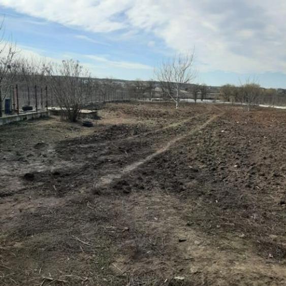 Teren intravilan de 6614 mp, în Corbeanca - 3