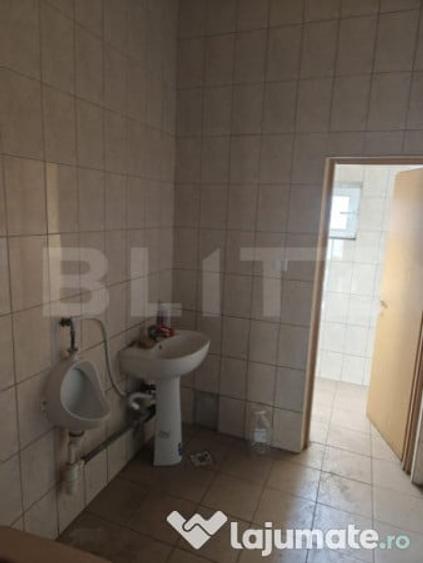 Teren de 6211 mp, în Oncea