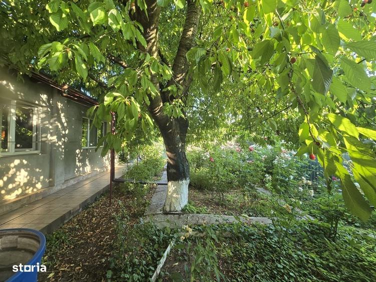 Casă cu 4 camere în Vânători