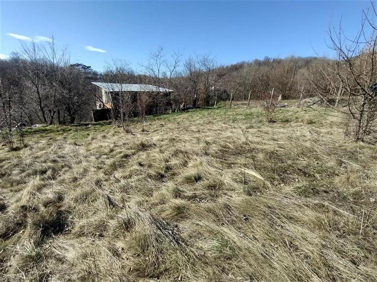 Teren Construcții intravilan de 3800 mp, în Vest