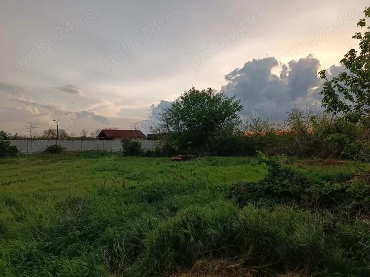 Teren în Alfa