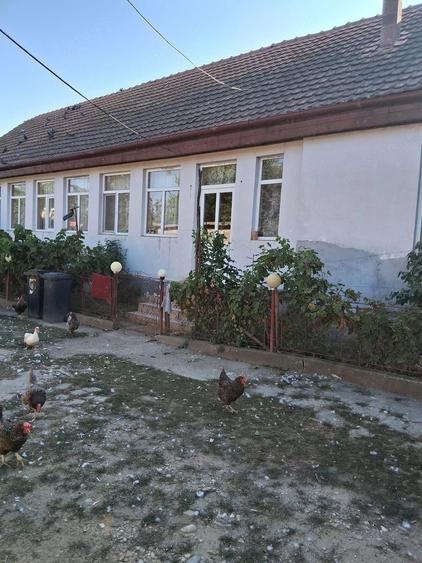 Casă cu 3 camere cu Teren 2220 Mp în Cebza