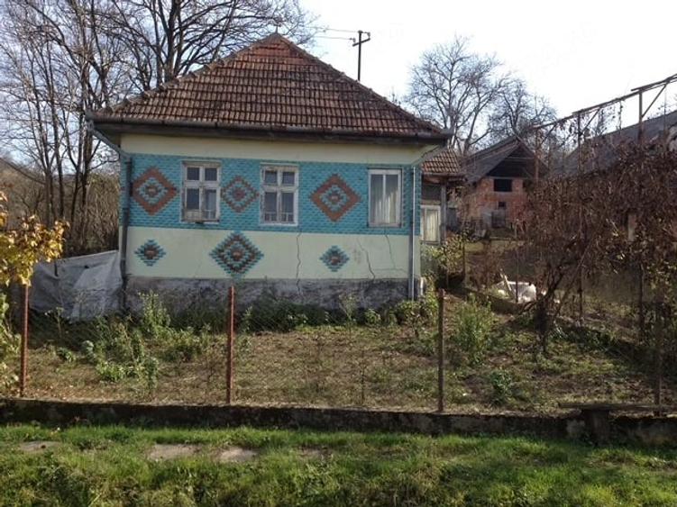 Casă cu Teren 5000 Mp în Mineu
