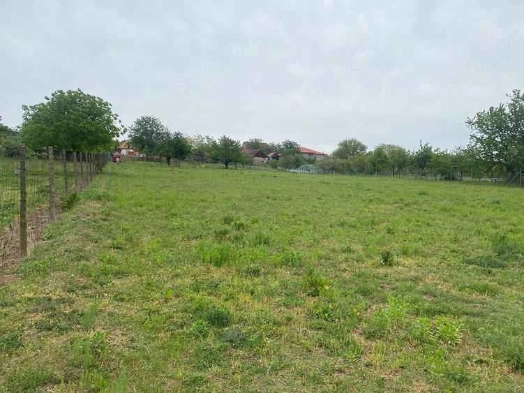 Teren de 4596 mp, în Cetariu