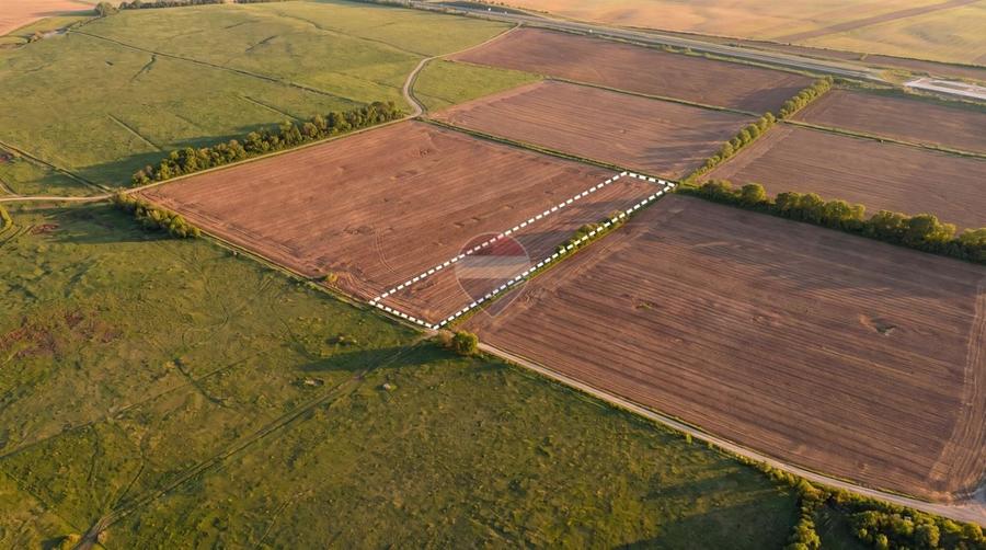 Teren agricol extravilan de 12500 mp, în Dumbrava
