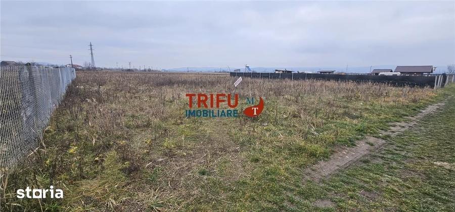 Teren de 525 mp, în Industrială