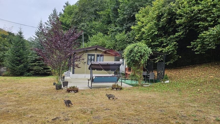Căsuță de vacanță de vânzare – comuna Alexandru cel Bun, Neamț - 28