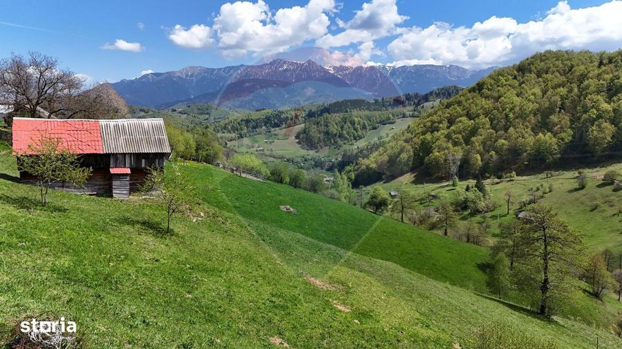 Teren de 2847 mp, în Moieciu