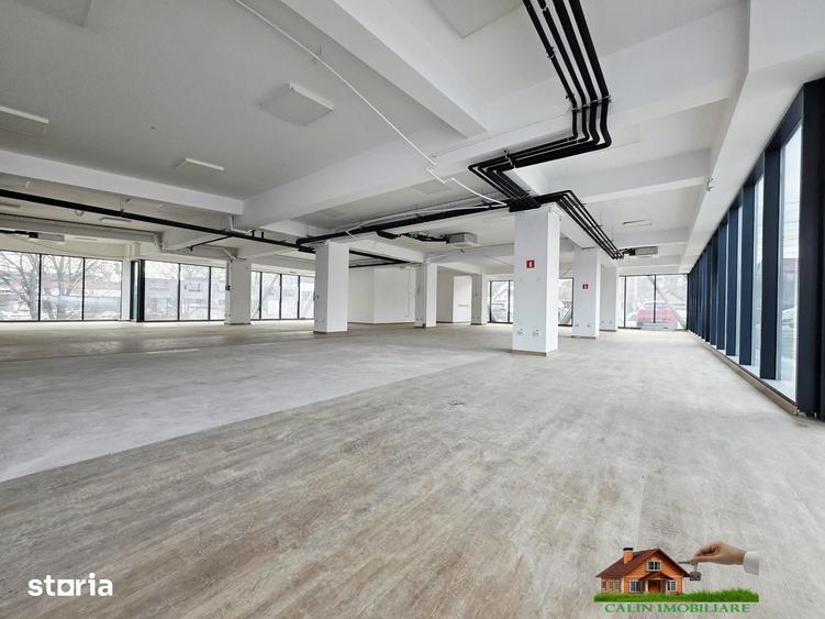 Spațiu comercial, de 560 mp, în Tătărași